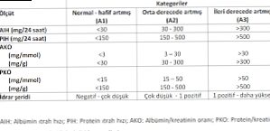 İdrarda Protein-Kreatinin İndeksi Hesaplayıcısı