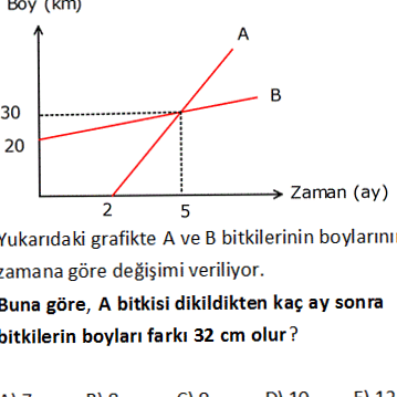 Yönlendirilmiş Çizgi Segmenti Oranları Hesaplayıcısı: Avantajları ve İşlevselliği